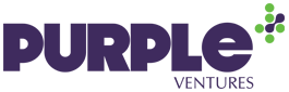 Purple Ventures: Incubators and Management Consultants